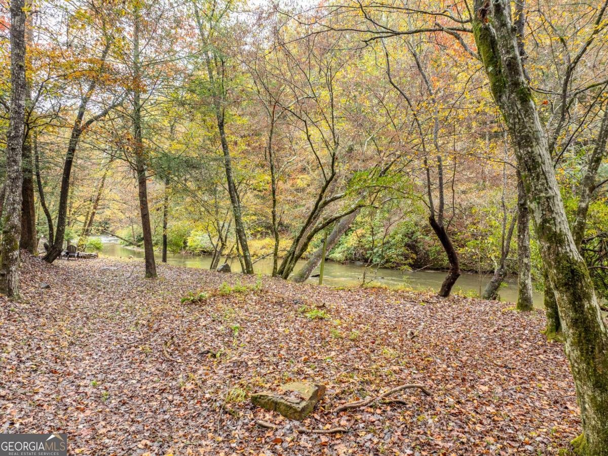 1800 Hicks Ford Road Ellijay - 14