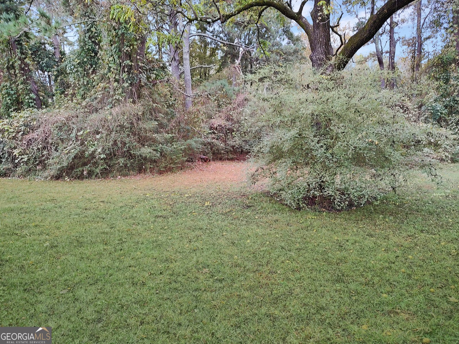 497 Highway 212 Covington - 15