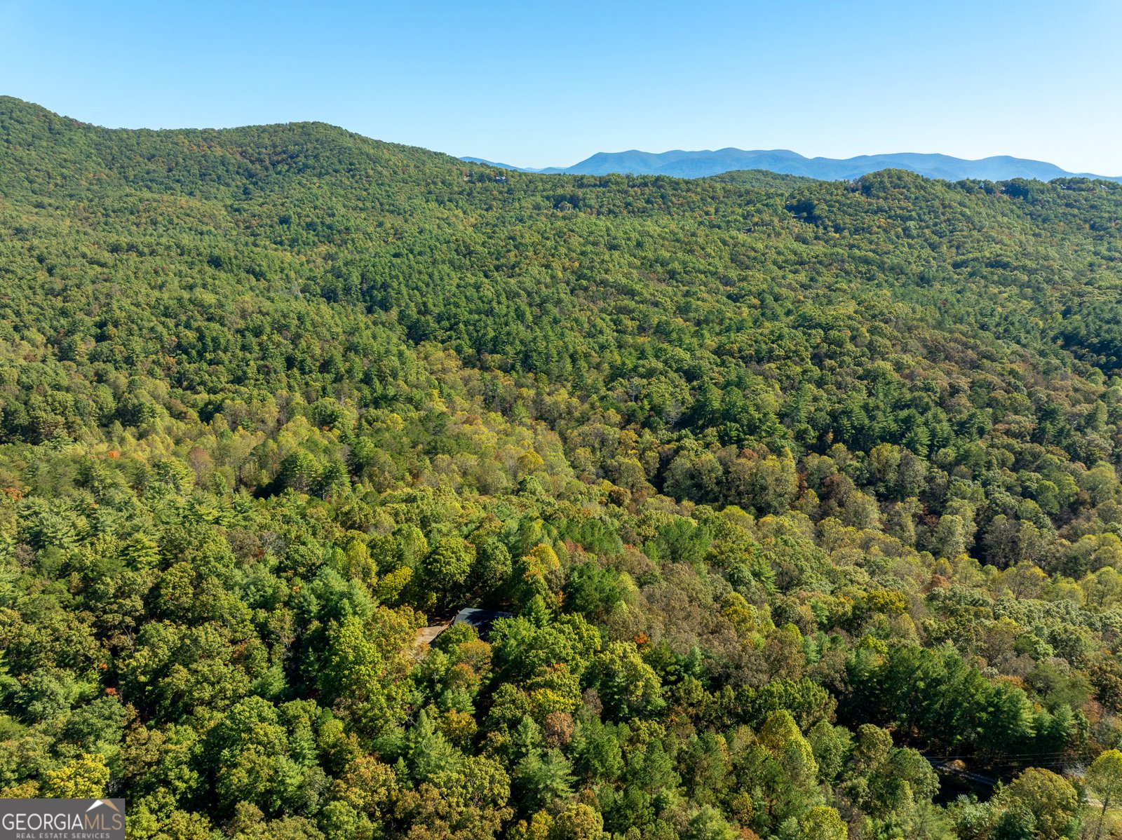 345 Zion Hill Road Ellijay - 2