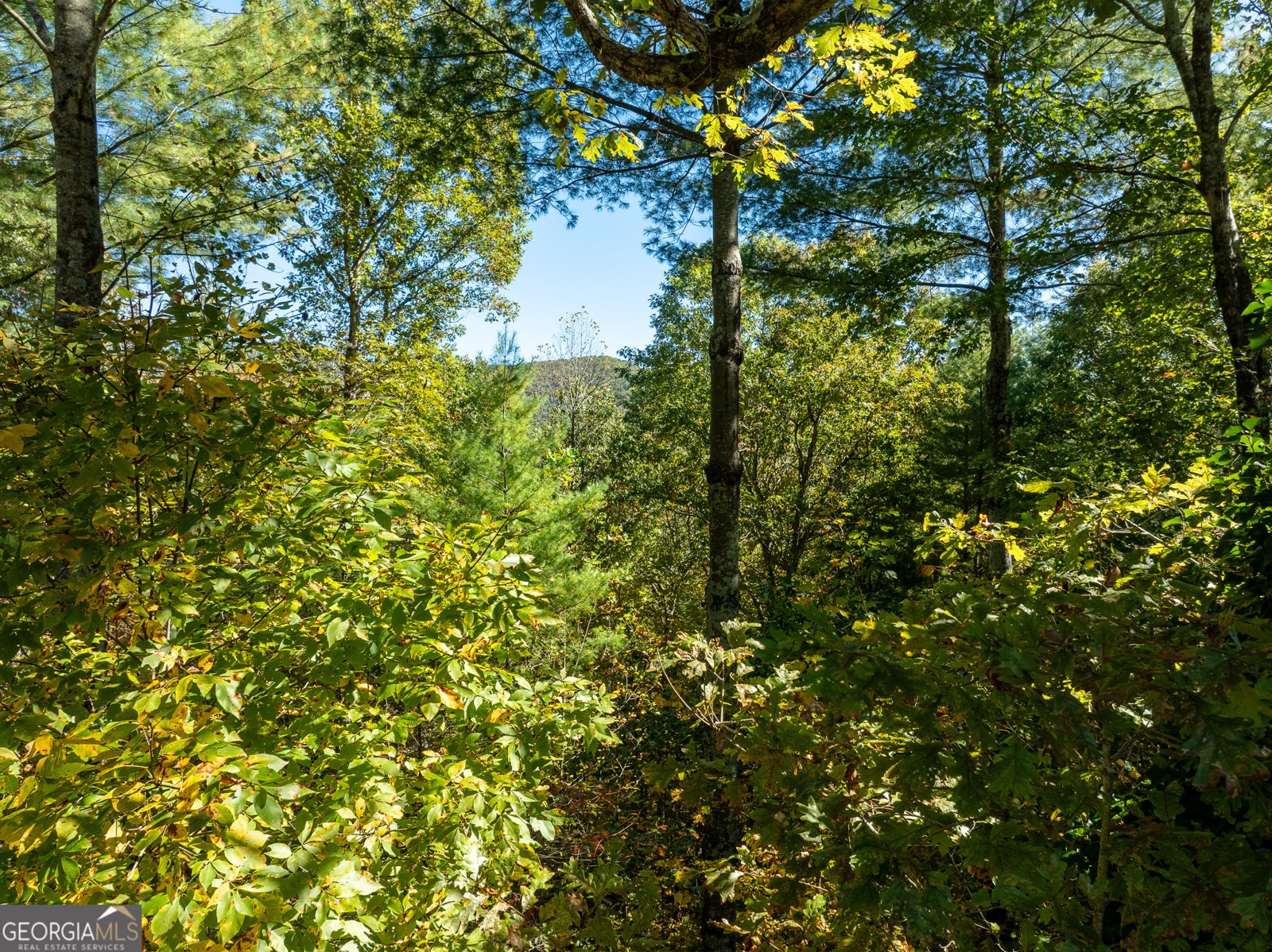 345 Zion Hill Road Ellijay - 36