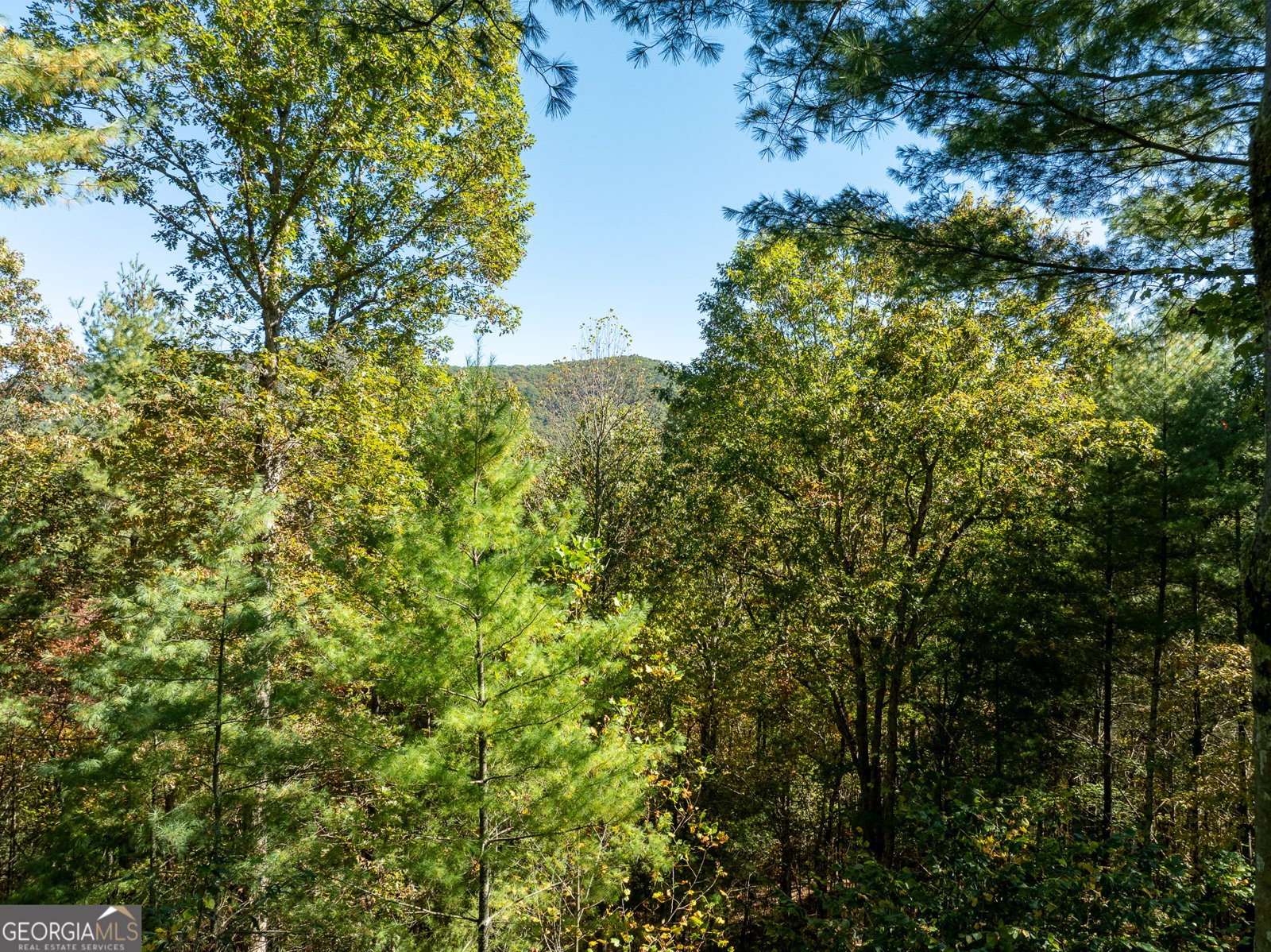 345 Zion Hill Road Ellijay - 37