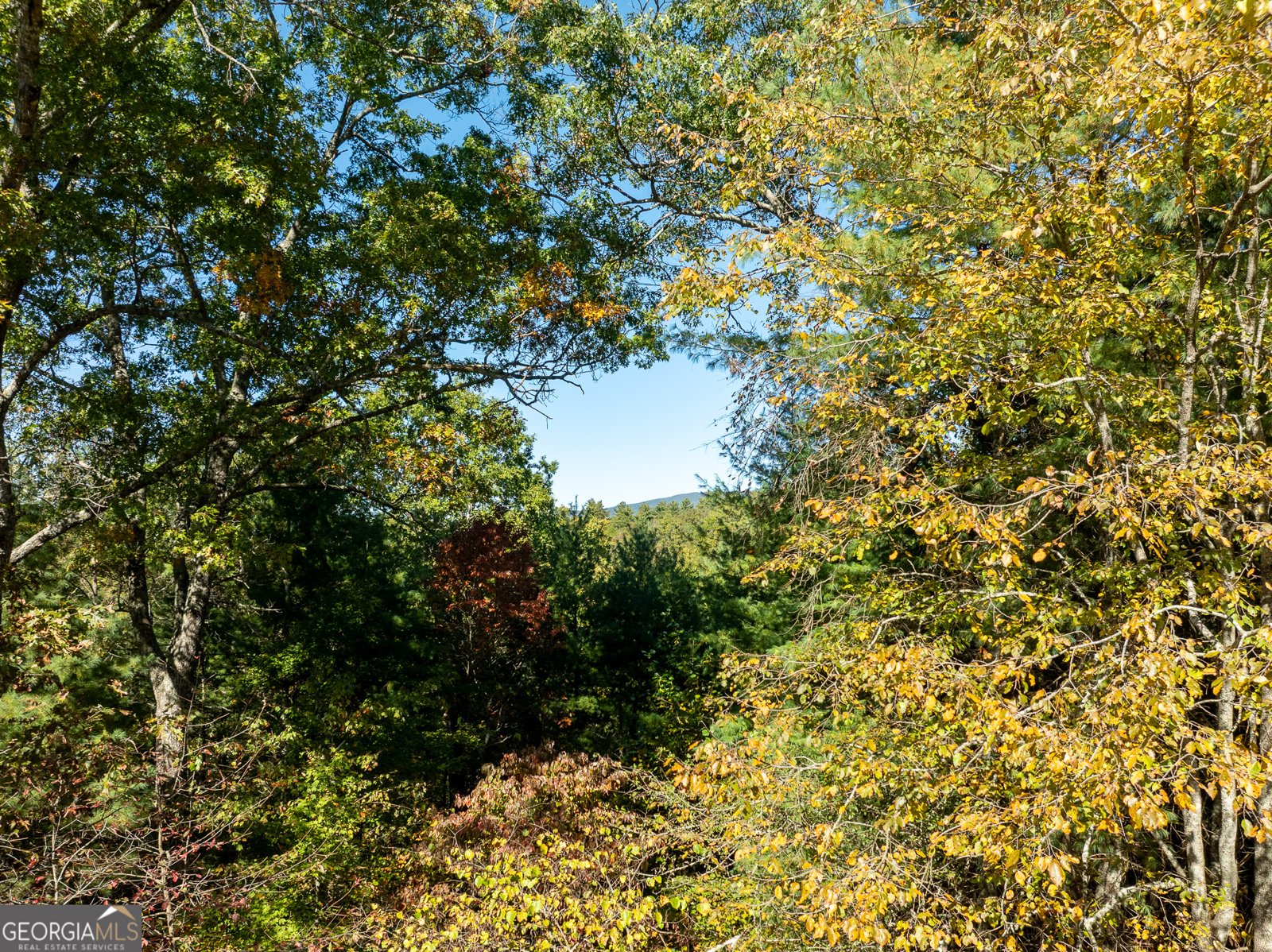 345 Zion Hill Road Ellijay - 38