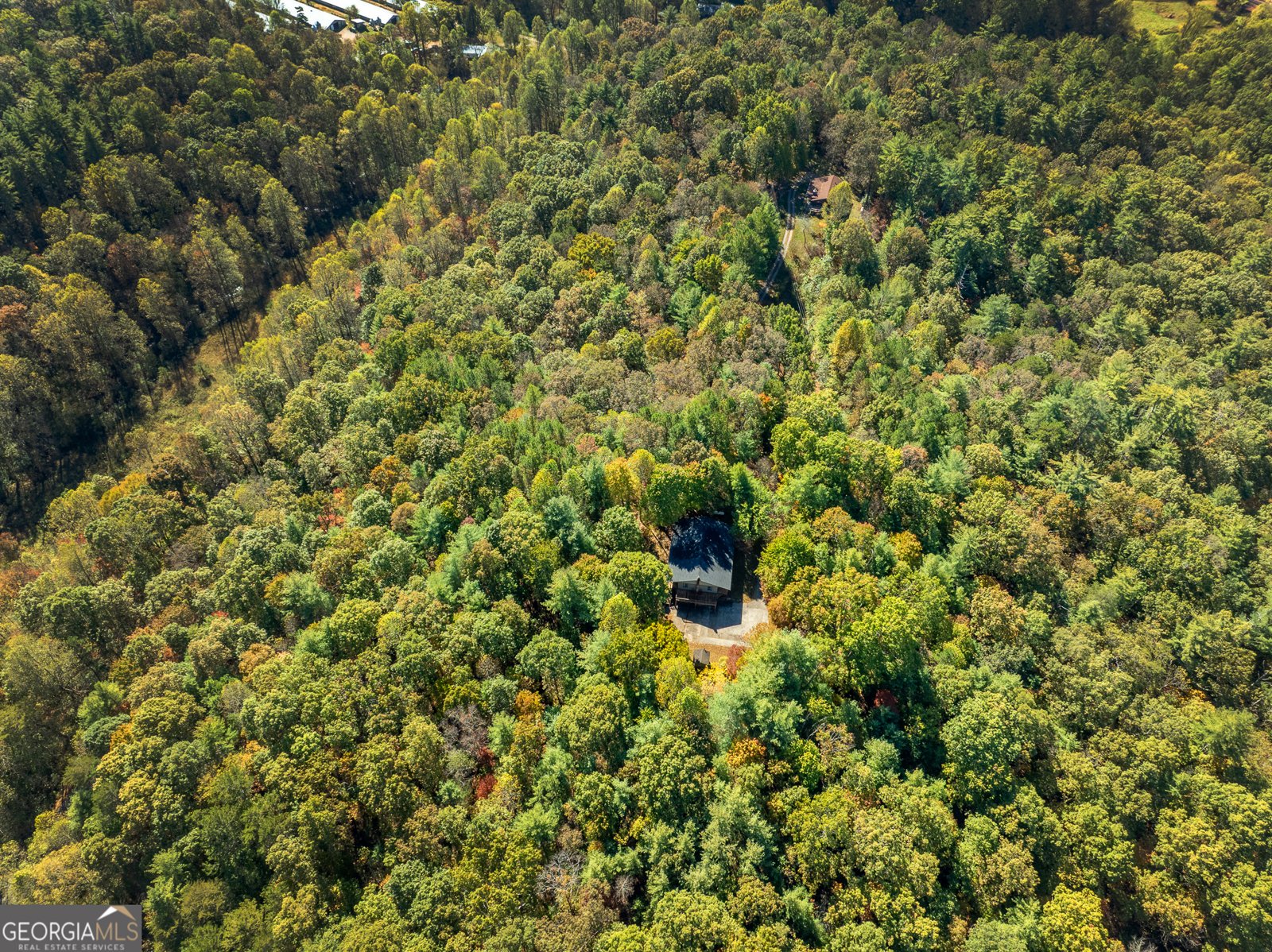 345 Zion Hill Road Ellijay - 39