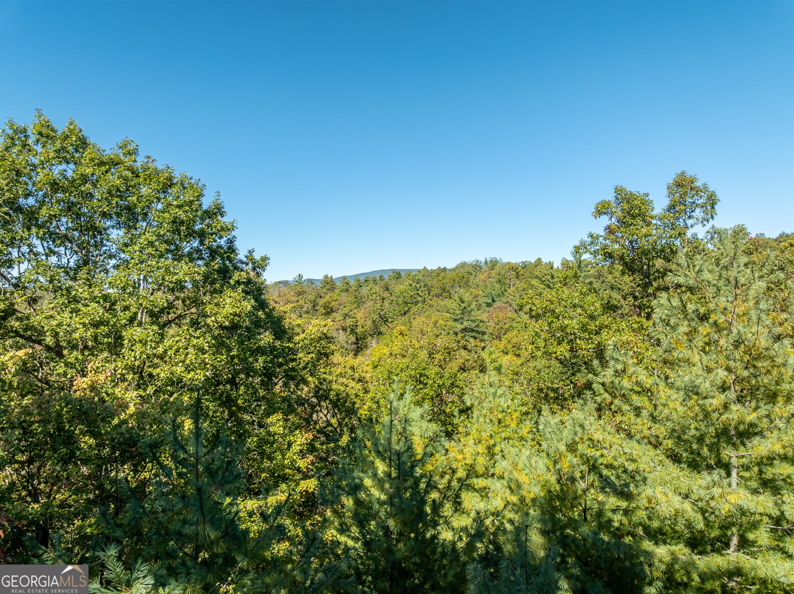 345 Zion Hill Road Ellijay - 5