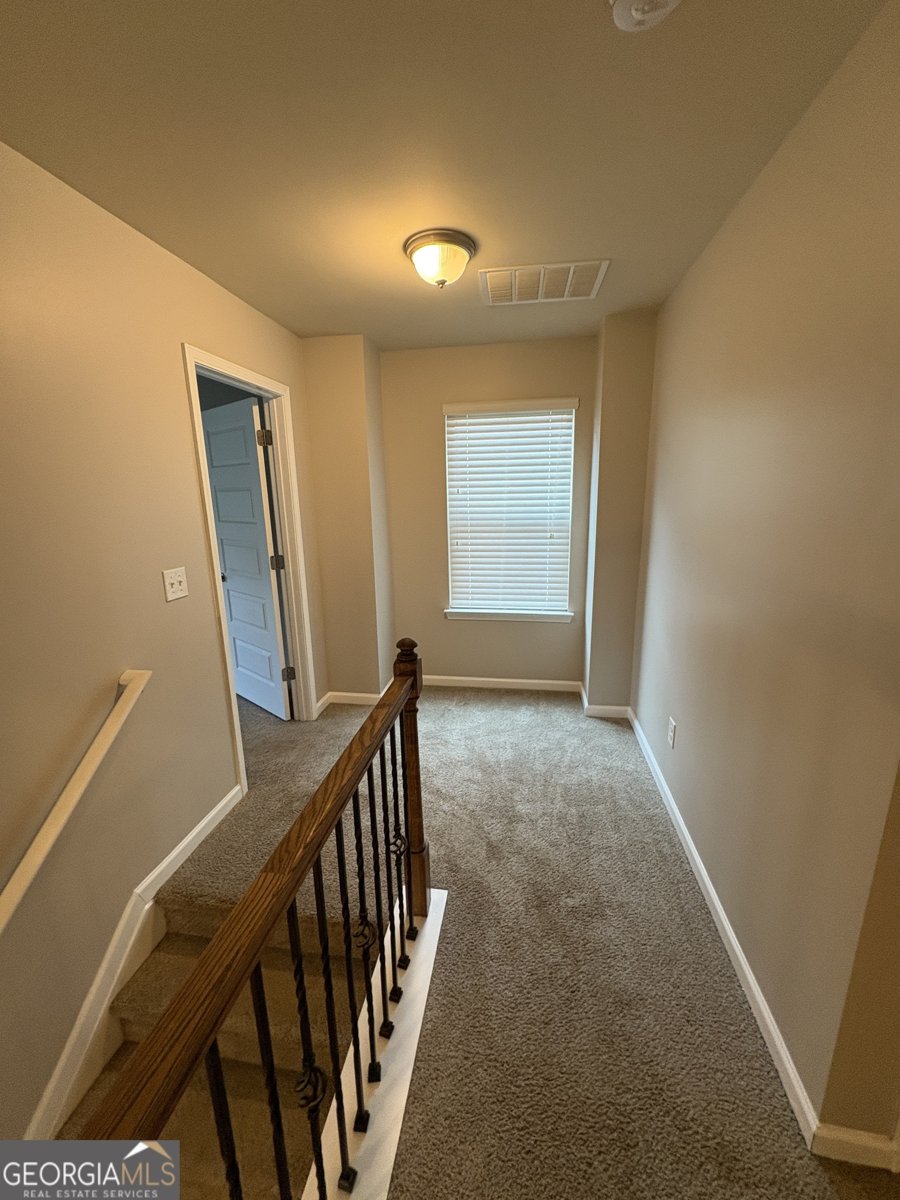 313 Lossie Lane McDonough - 10