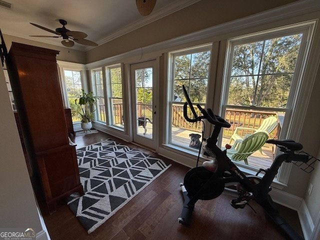 5521 Ponciana Lane Lake Park - 17