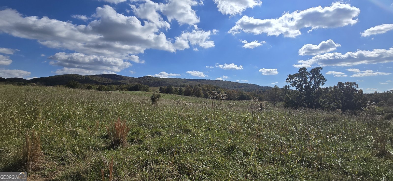 1350 Stivers Road Jasper - 1