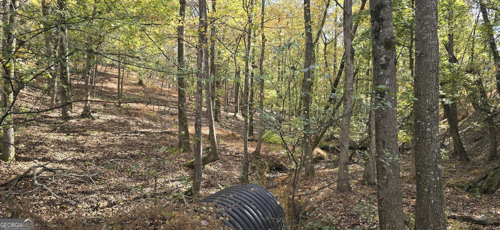 1350 Stivers Road Jasper - 21