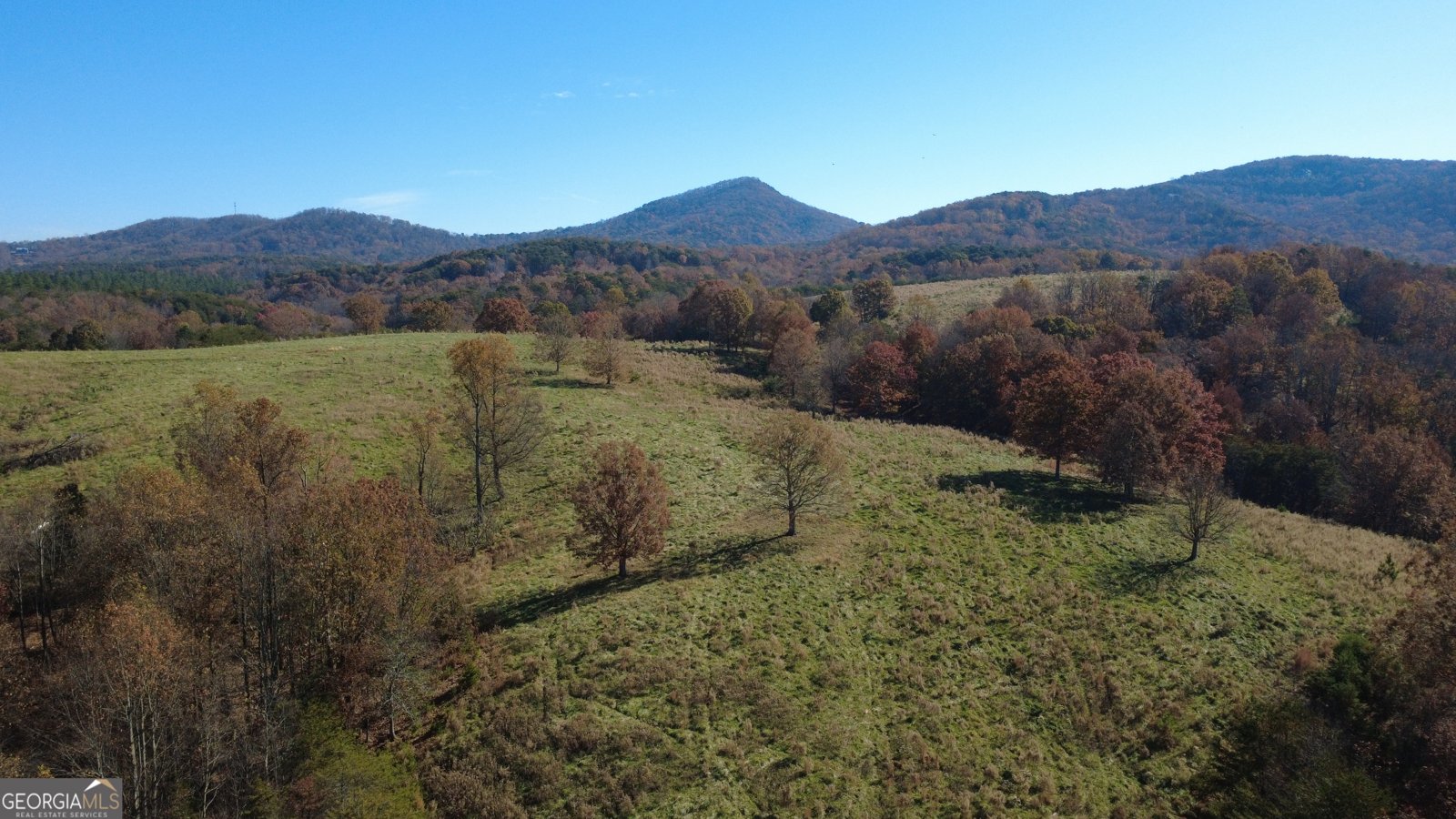 1350 Stivers Road Jasper - 39