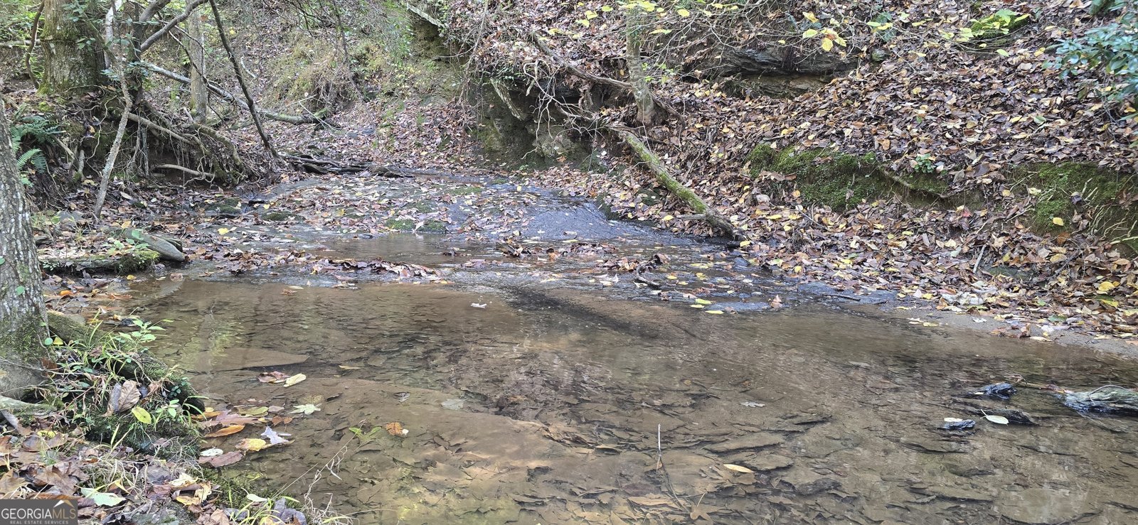 1350 Stivers Road Jasper - 5