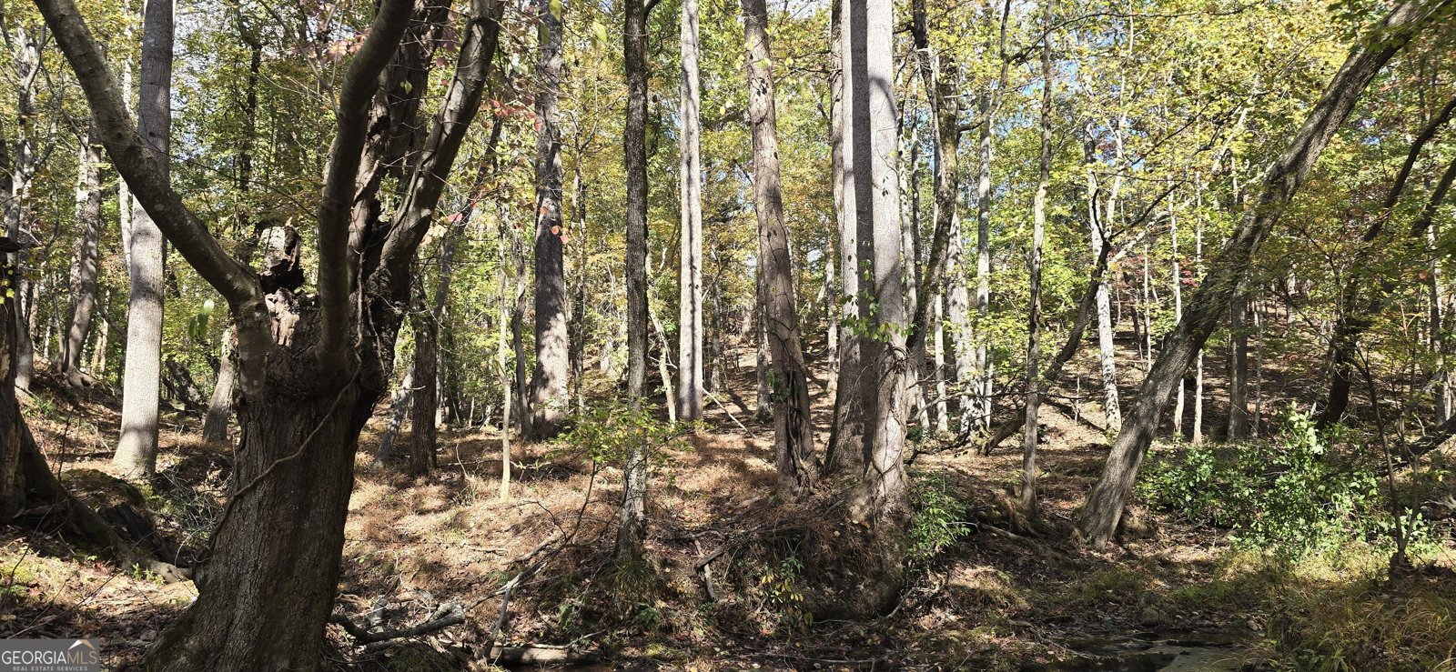 1350 Stivers Road Jasper - 9