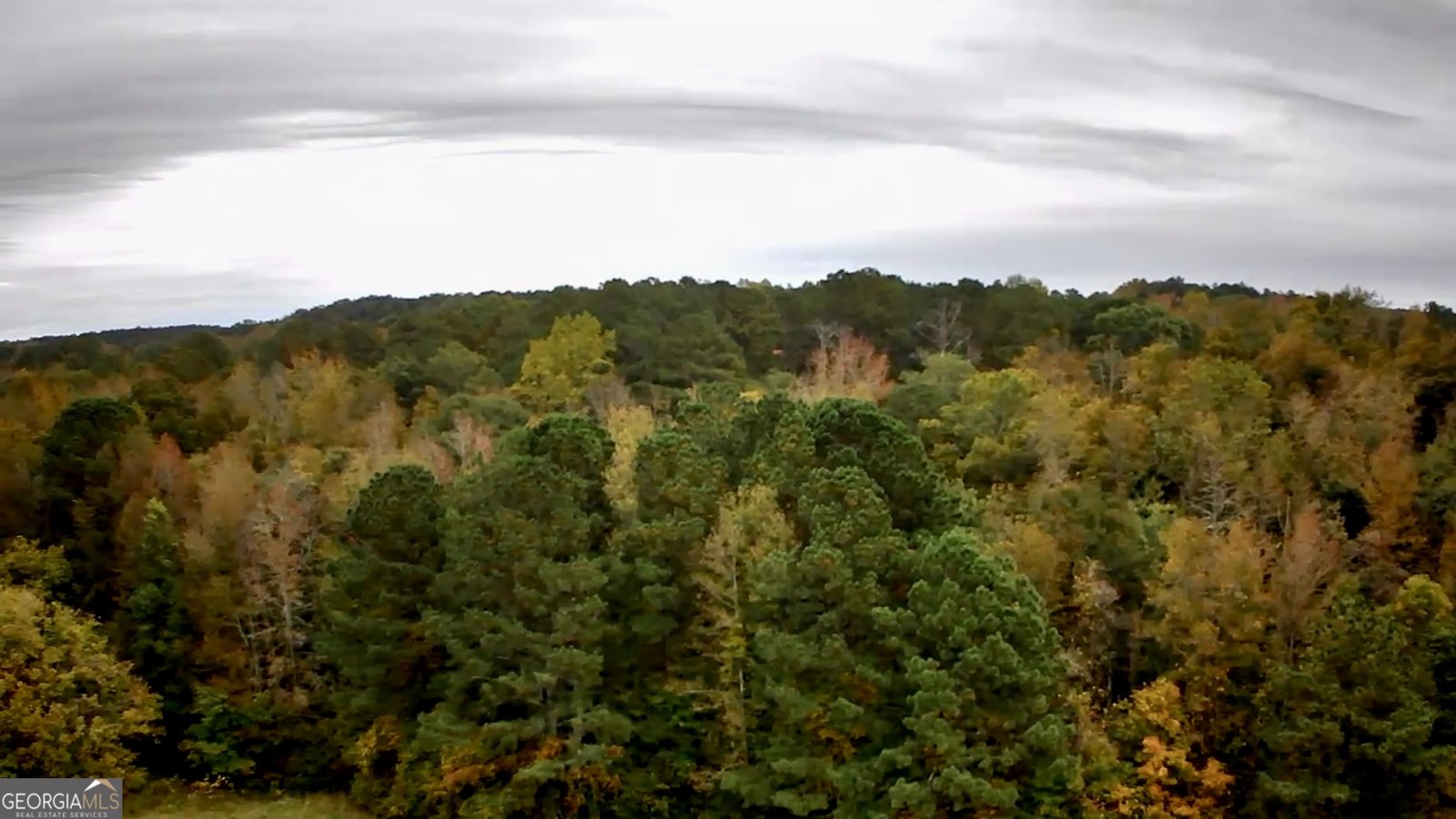 1061 Shoreline Drive Madison - 89