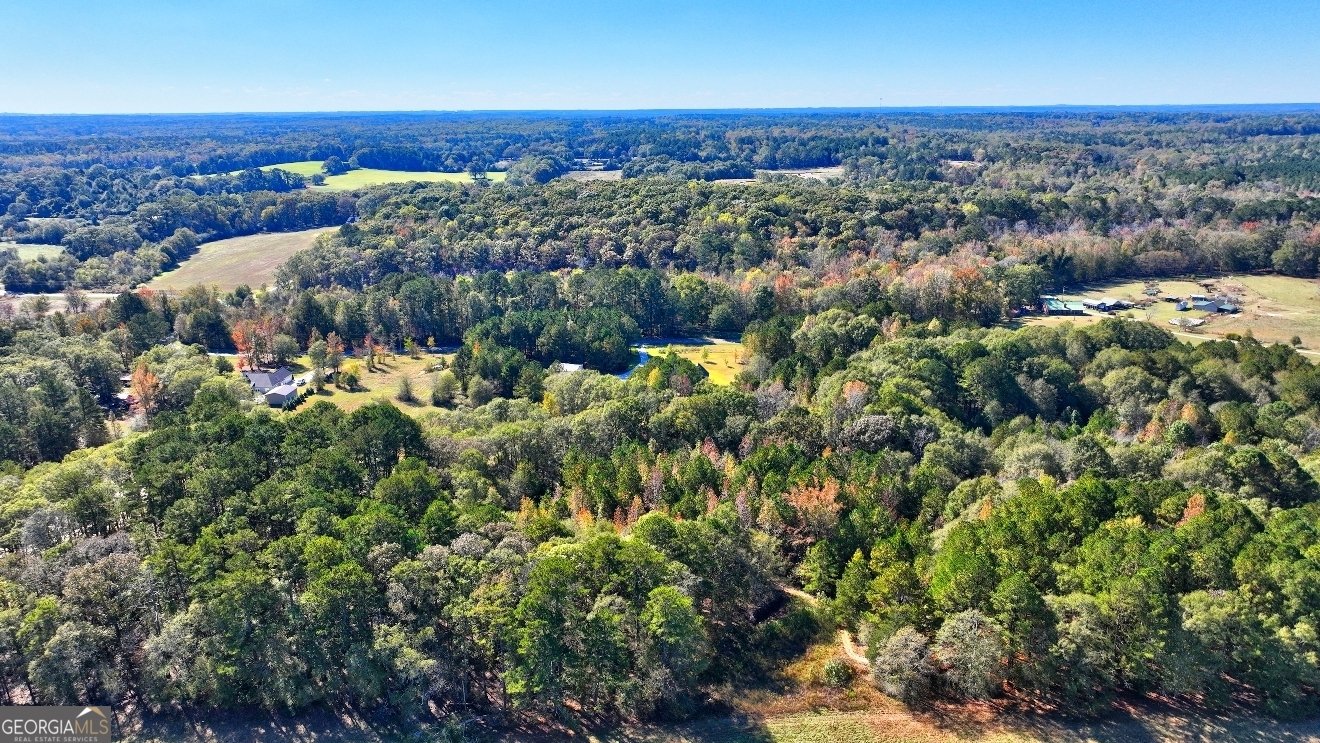 301 Forrester Cemetery Road Covington - 11