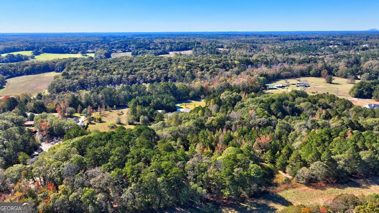 301 Forrester Cemetery Road Covington - 12