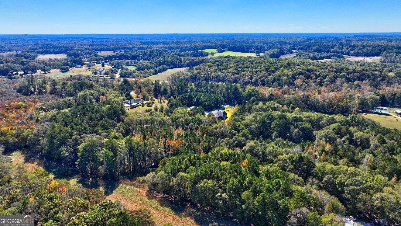 301 Forrester Cemetery Road Covington - 13