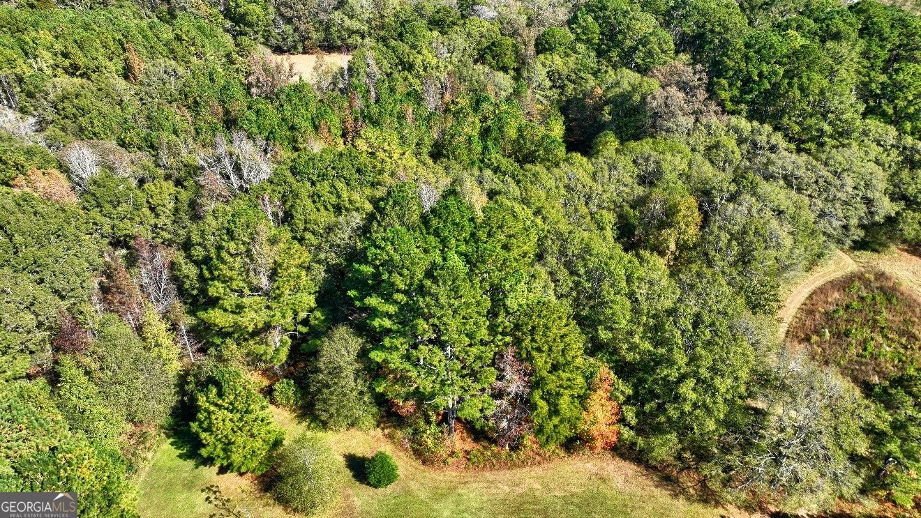 301 Forrester Cemetery Road Covington - 22