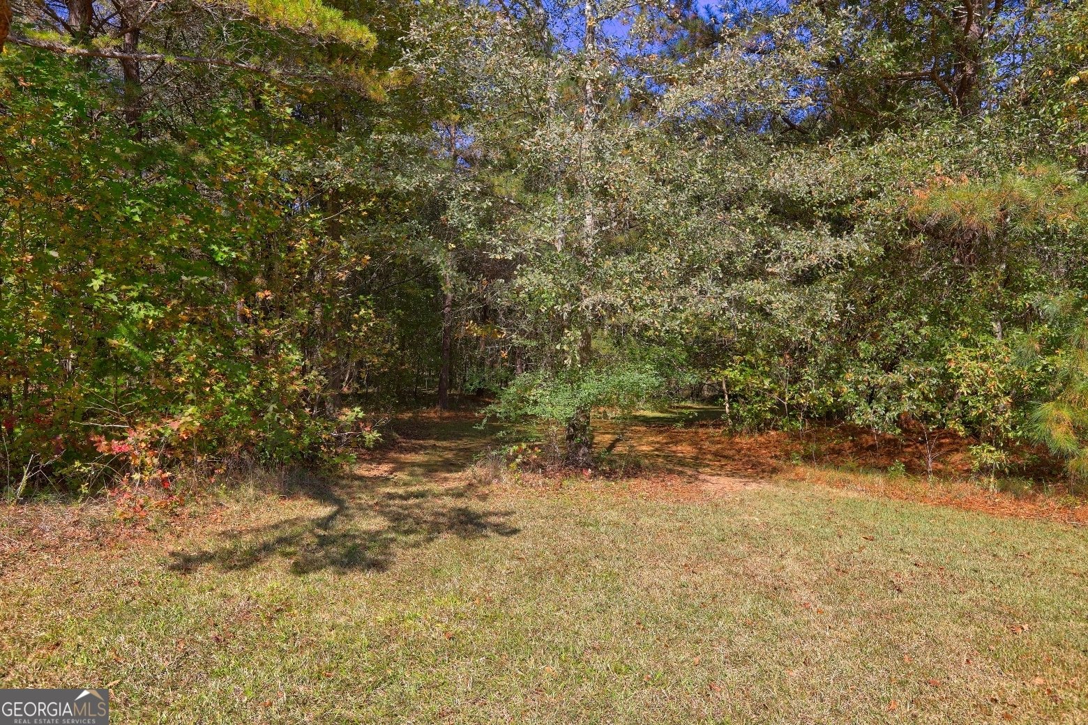 301 Forrester Cemetery Road Covington - 50