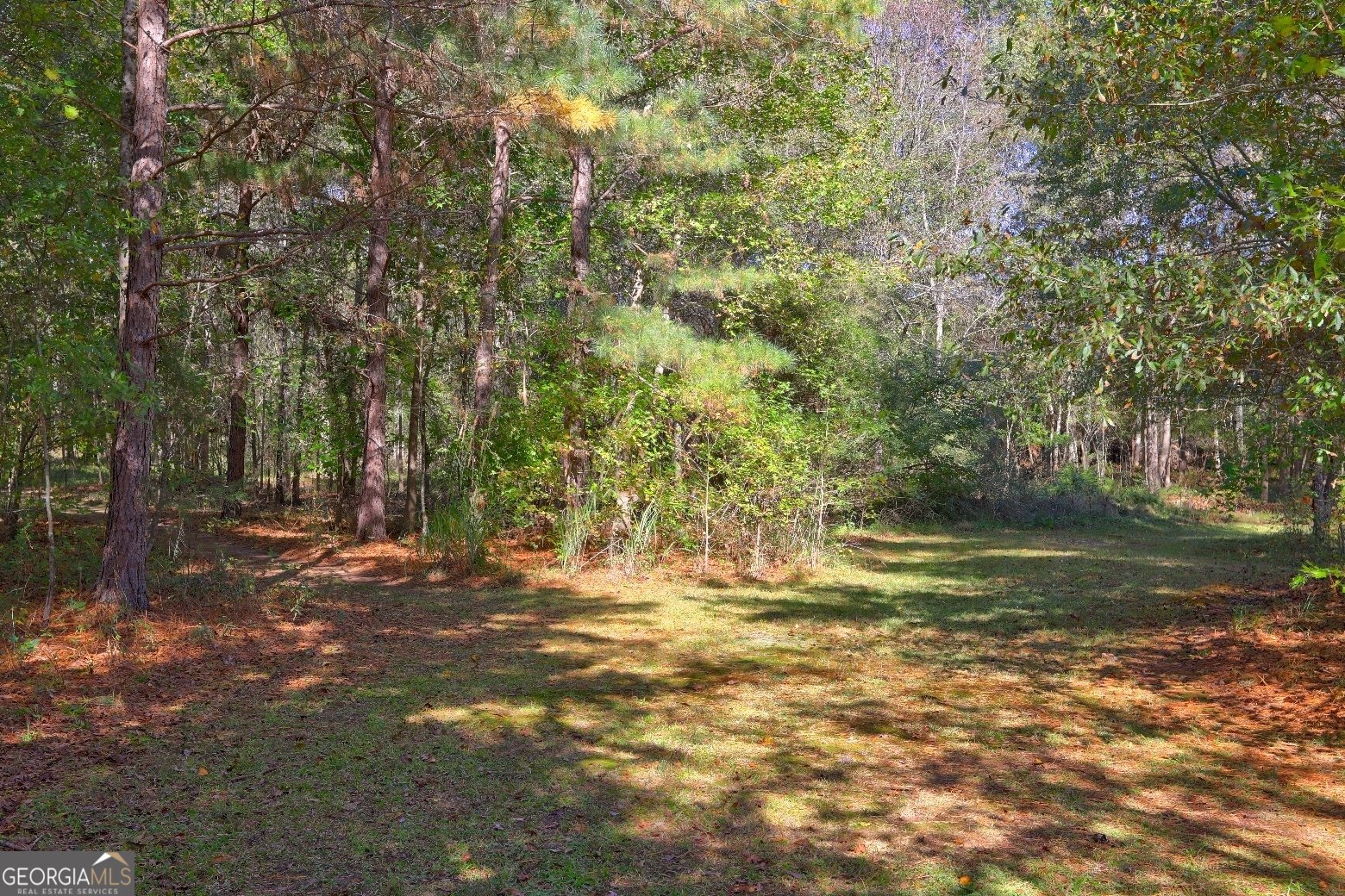 301 Forrester Cemetery Road Covington - 51