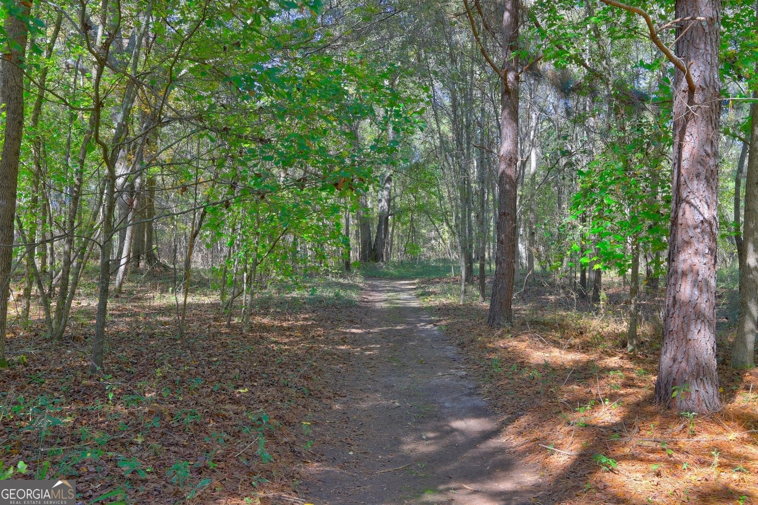 301 Forrester Cemetery Road Covington - 52