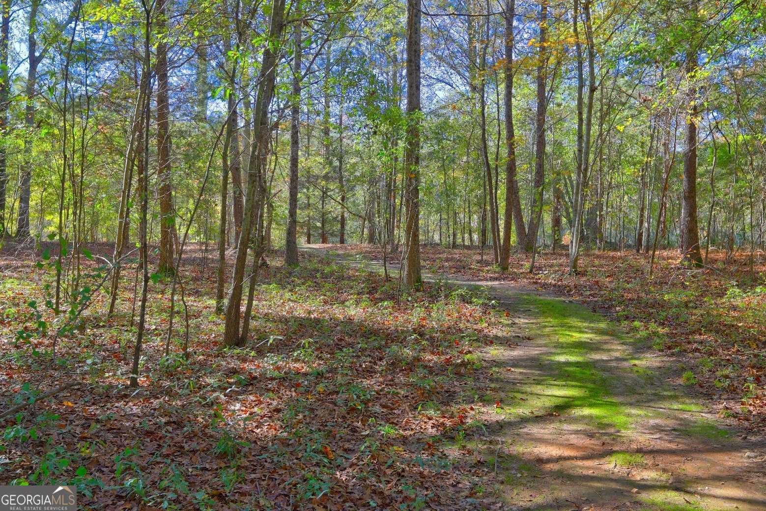 301 Forrester Cemetery Road Covington - 53