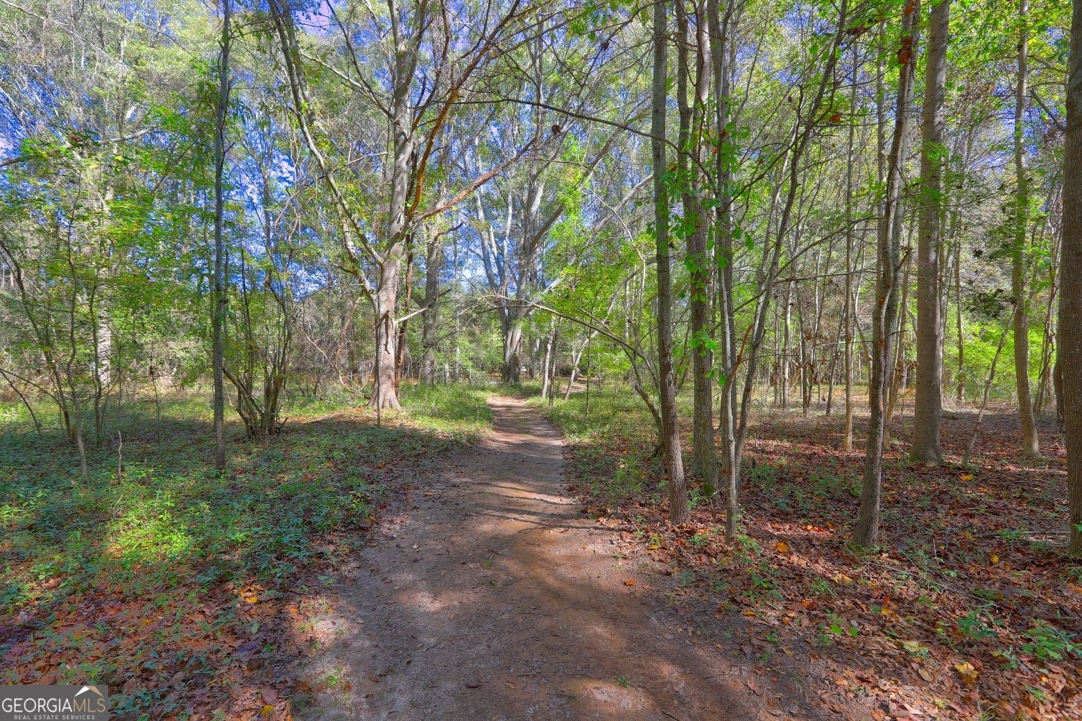 301 Forrester Cemetery Road Covington - 54