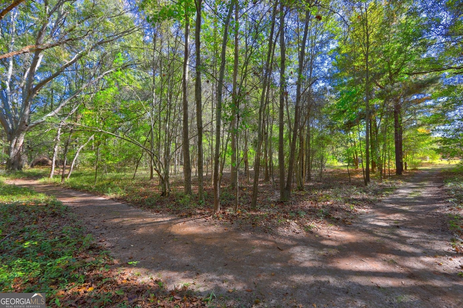 301 Forrester Cemetery Road Covington - 55