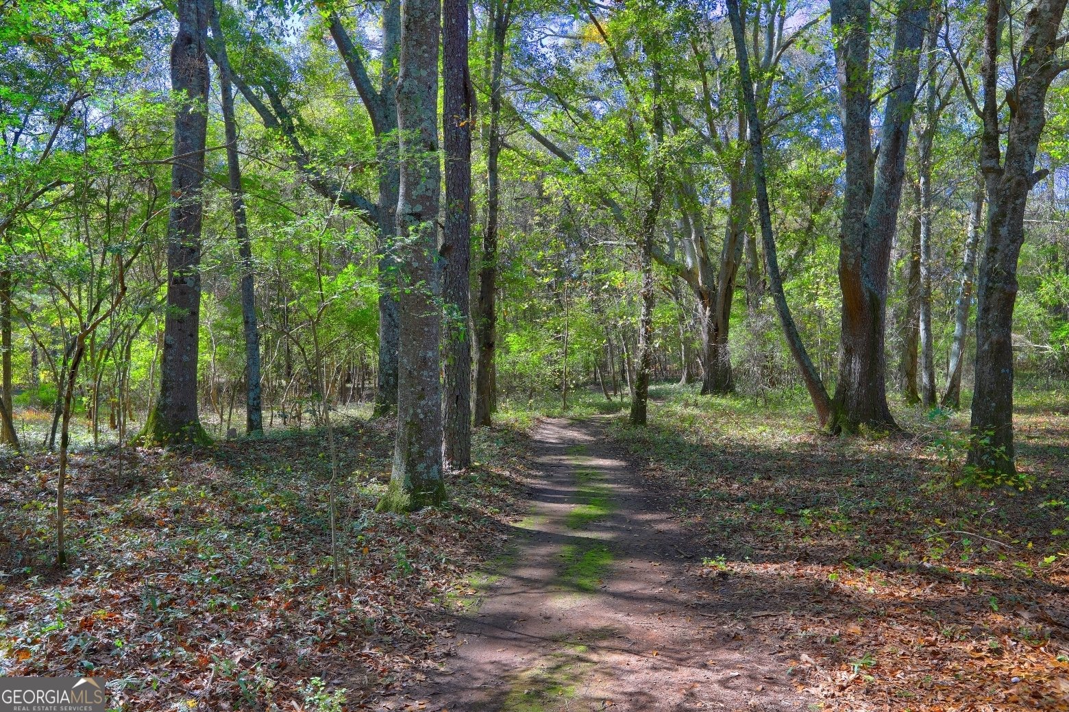 301 Forrester Cemetery Road Covington - 56