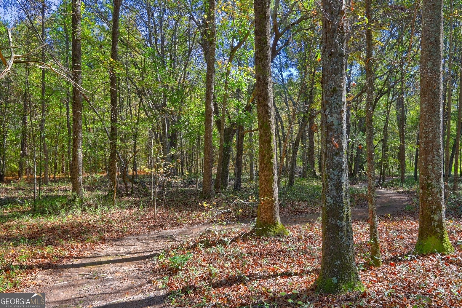 301 Forrester Cemetery Road Covington - 57