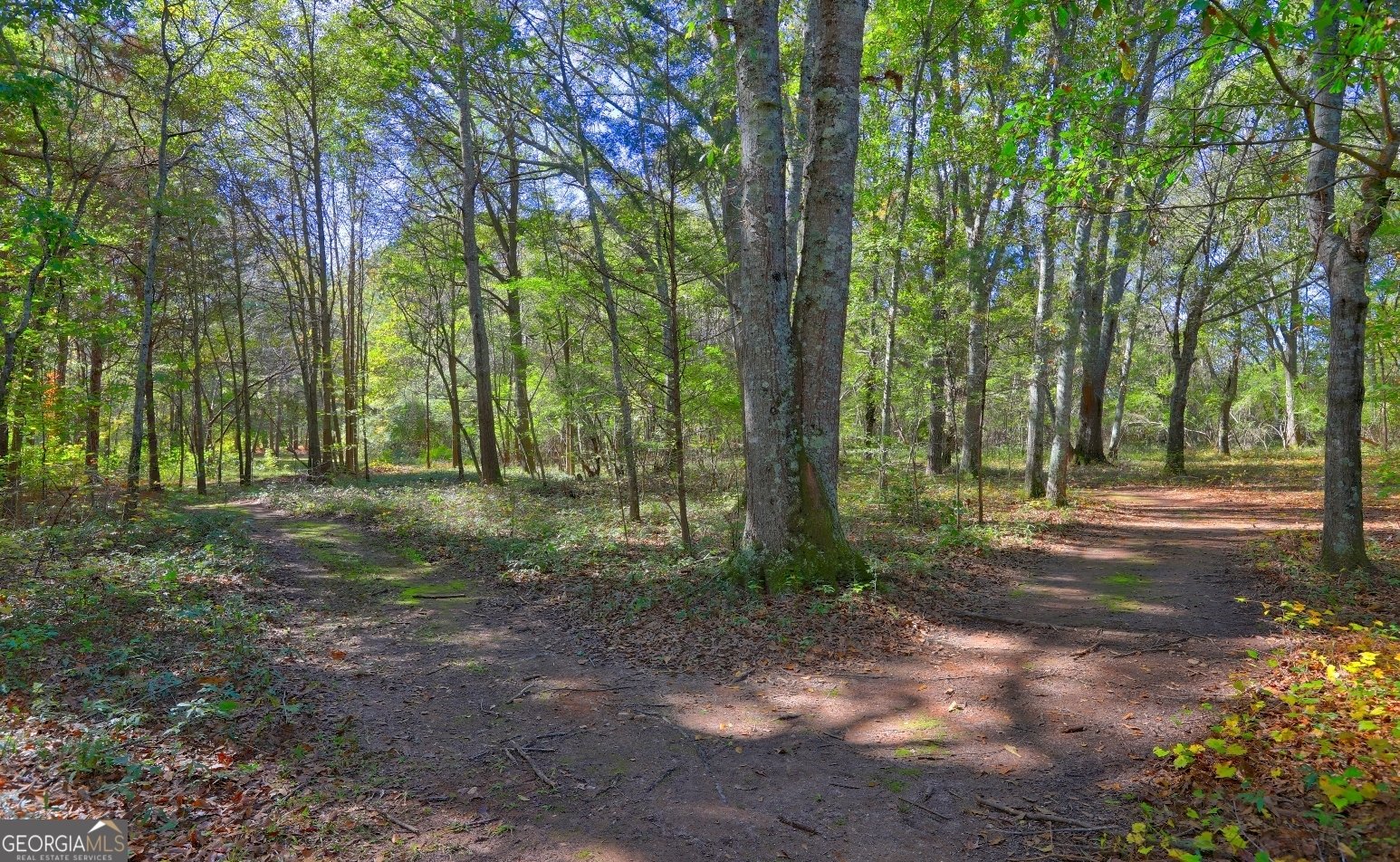 301 Forrester Cemetery Road Covington - 58