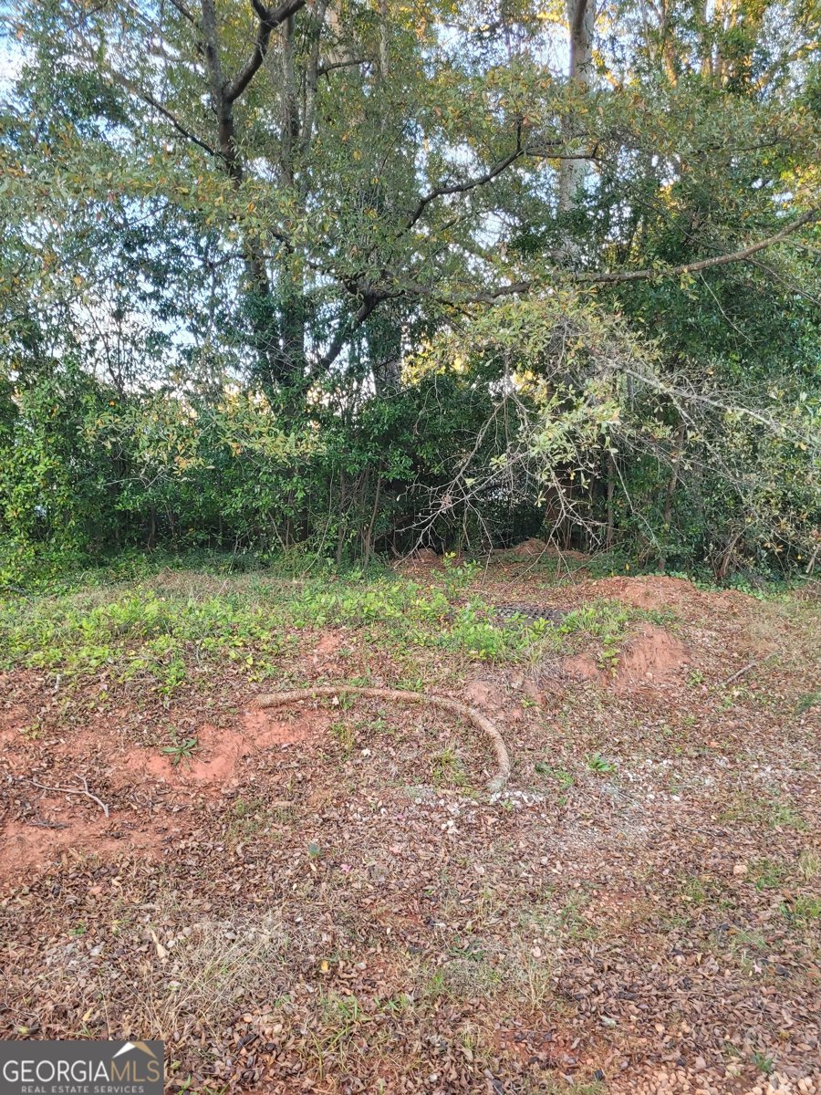 6860 Robinson Street Lithonia - 11