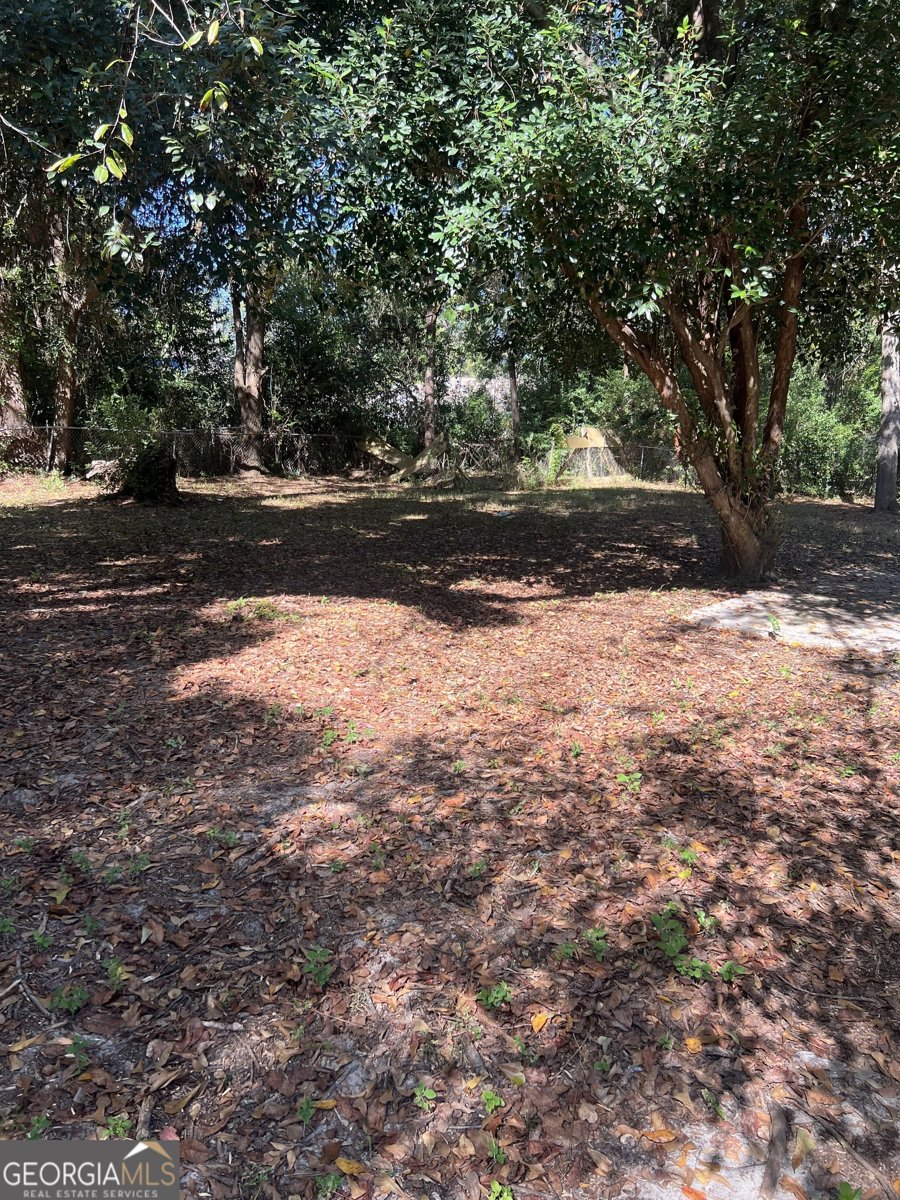 2406 Oxford Drive Valdosta - 13