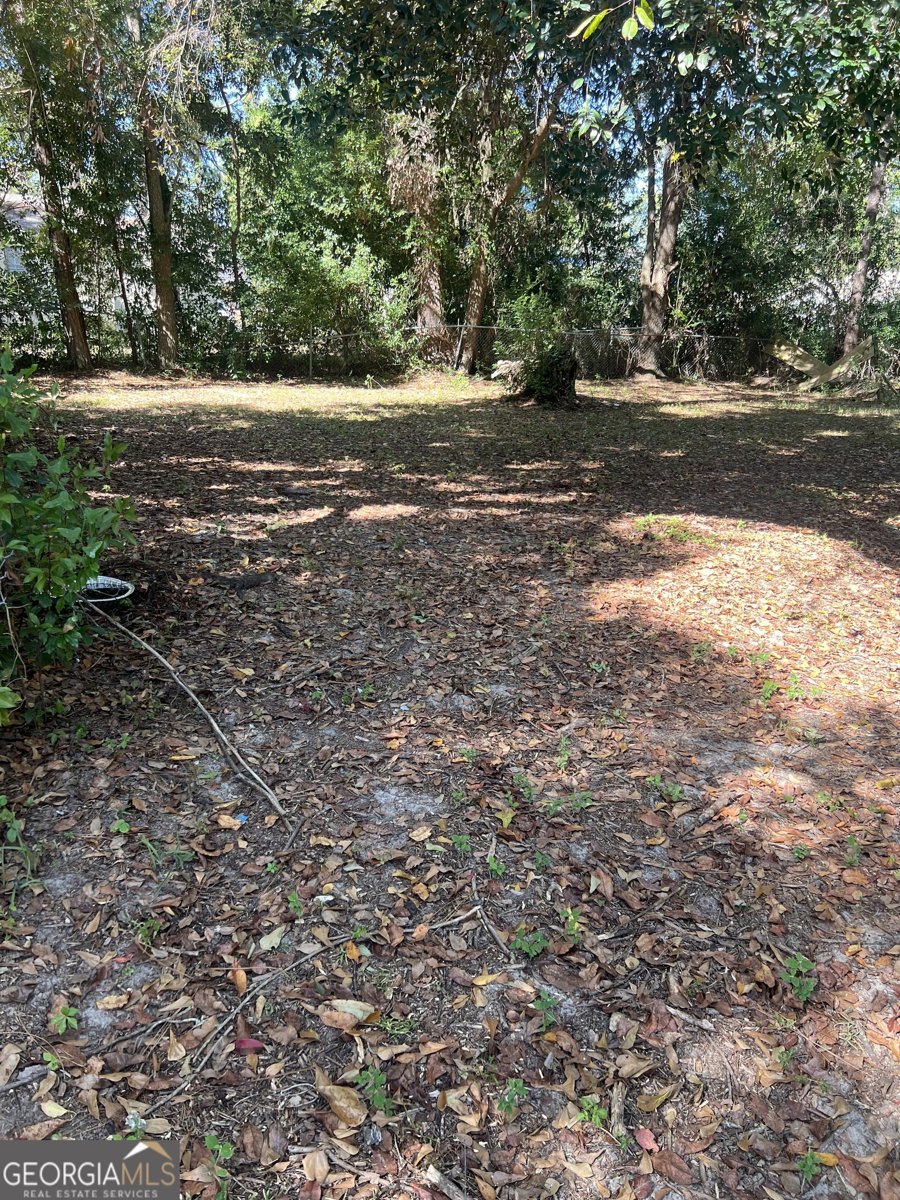 2406 Oxford Drive Valdosta - 14