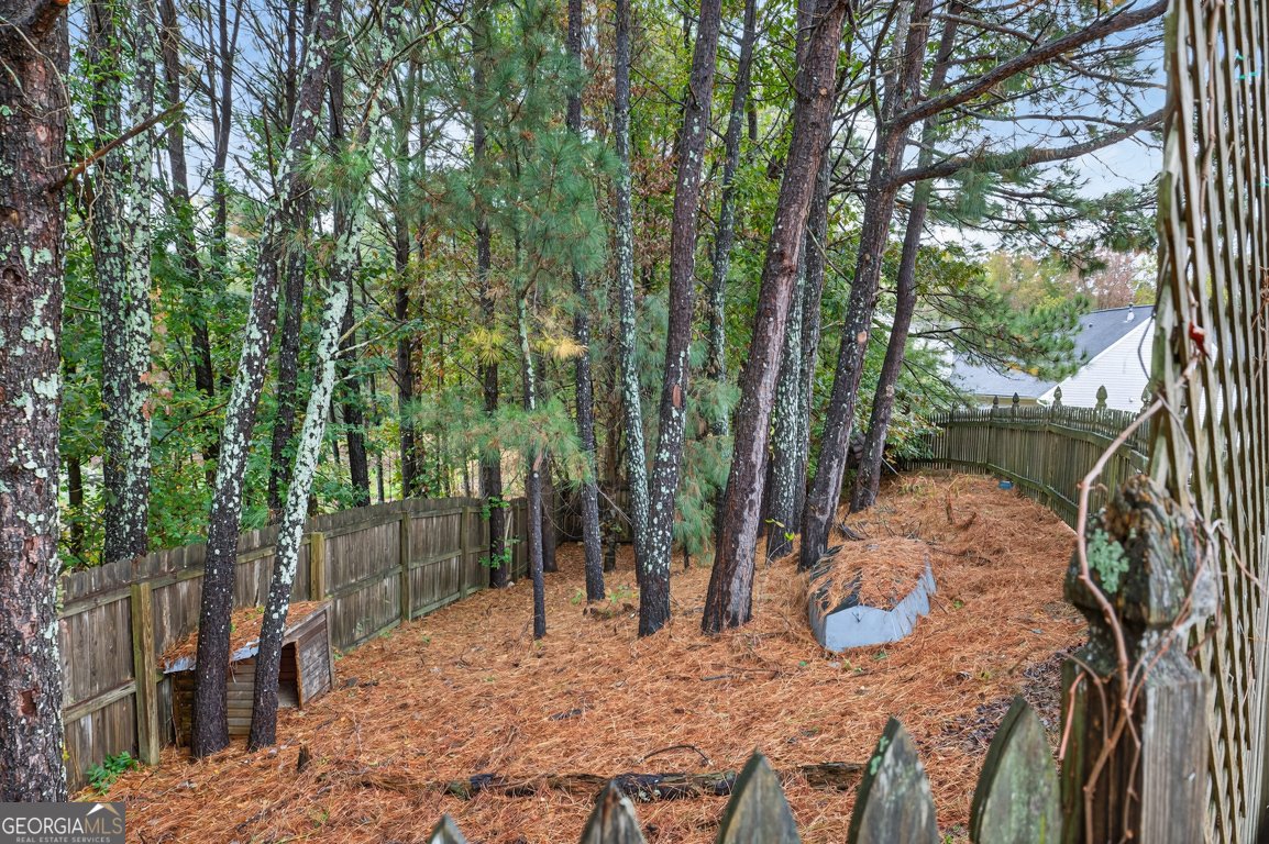 2416 Moultrie Court Dacula - 43