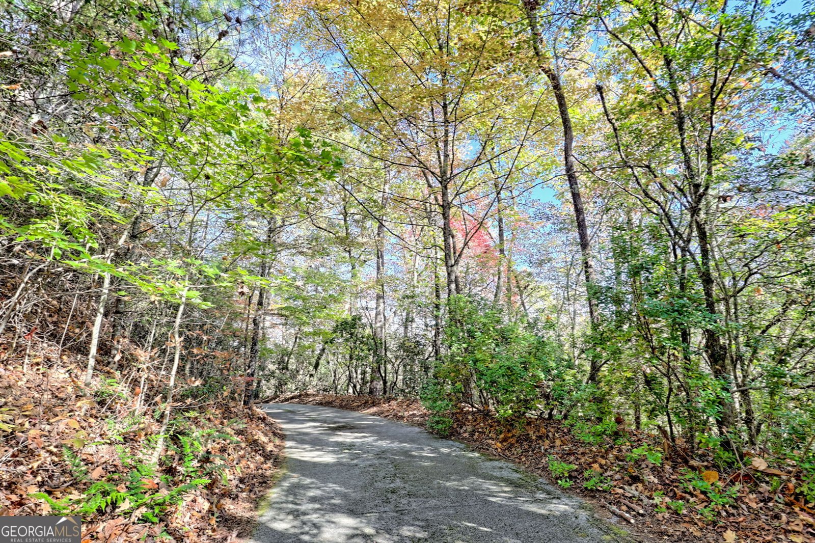 49 Richmond Lane Lakemont - 10