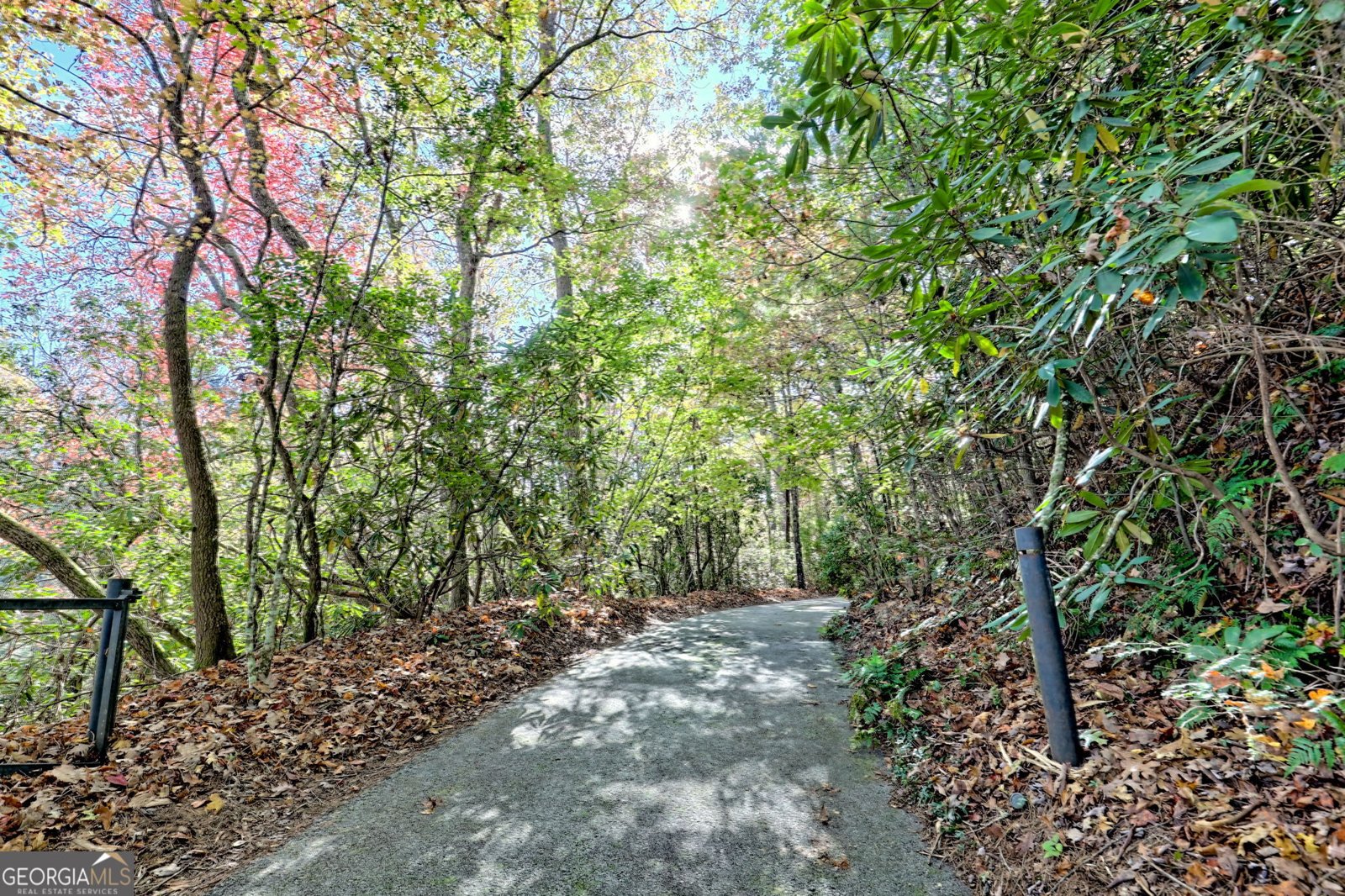 49 Richmond Lane Lakemont - 9