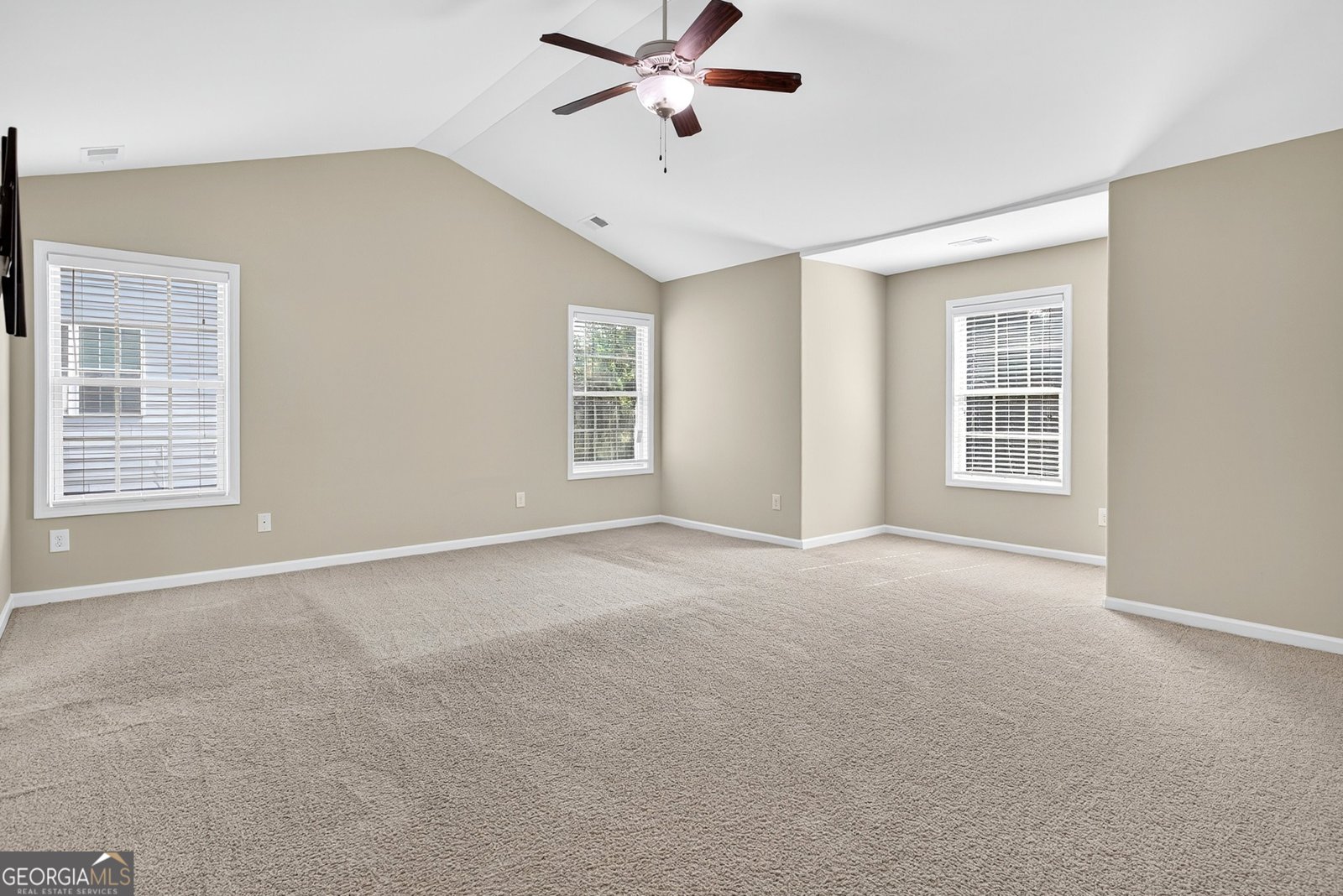 161 Briandwood Drive Newnan - 29