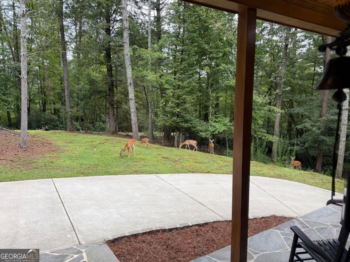 160 Nahunta Court Ellijay - 29