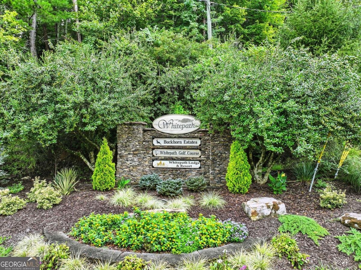 160 Nahunta Court Ellijay - 30