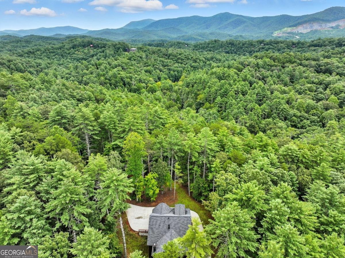 160 Nahunta Court Ellijay - 40