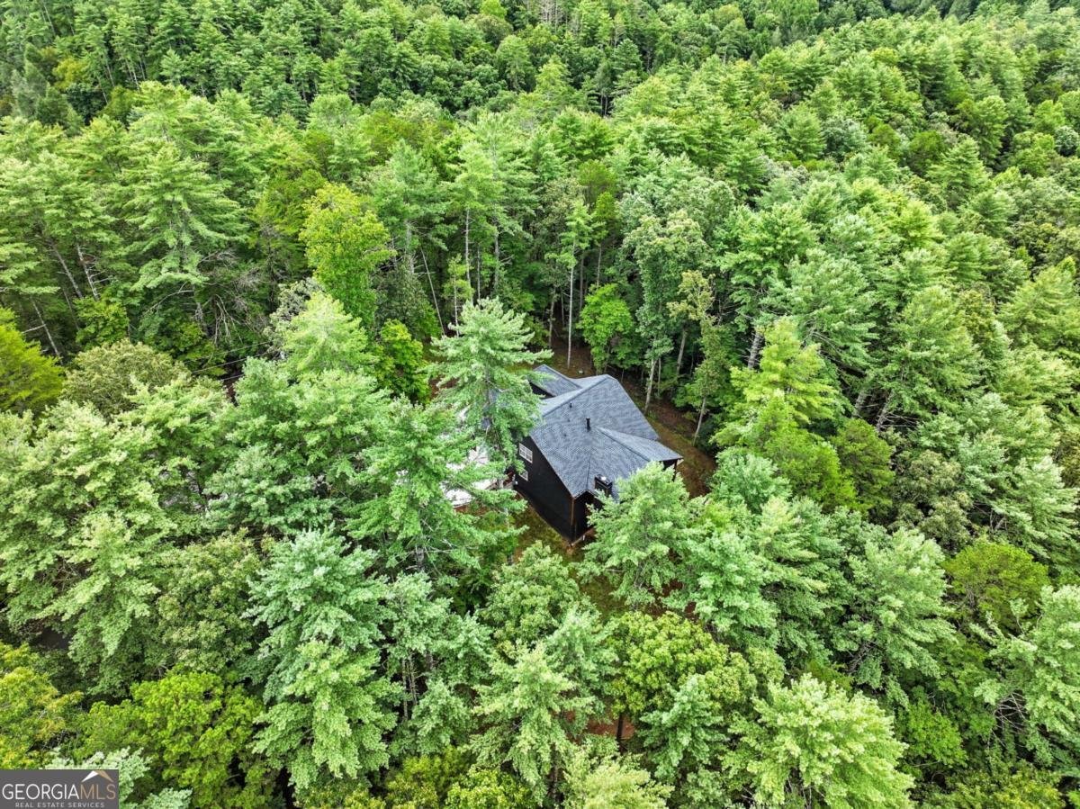 160 Nahunta Court Ellijay - 41