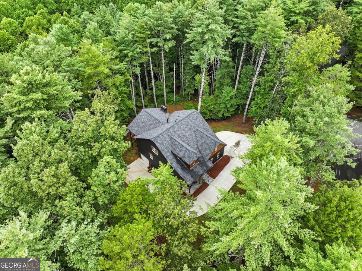 160 Nahunta Court Ellijay - 43