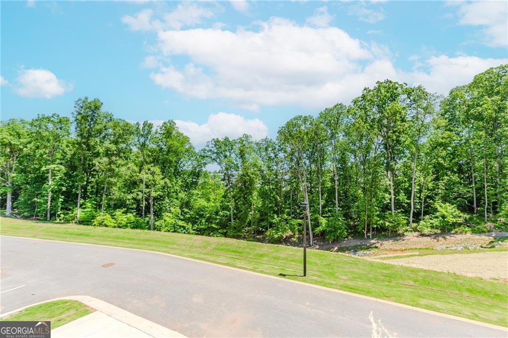 1242 Ainsworth Alley Sugar Hill - 44