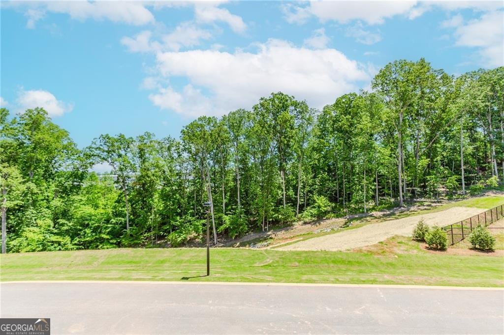 1242 Ainsworth Alley Sugar Hill - 45