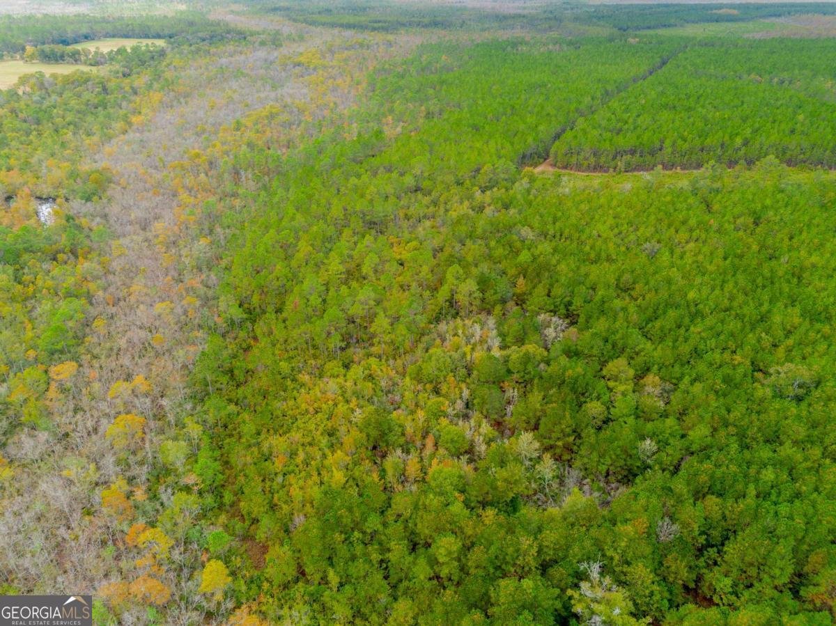 1690 Smith Road Waycross - 22