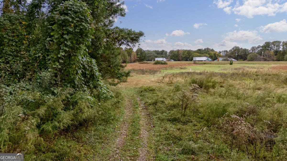 6 Oak Grove Road Athens - 60