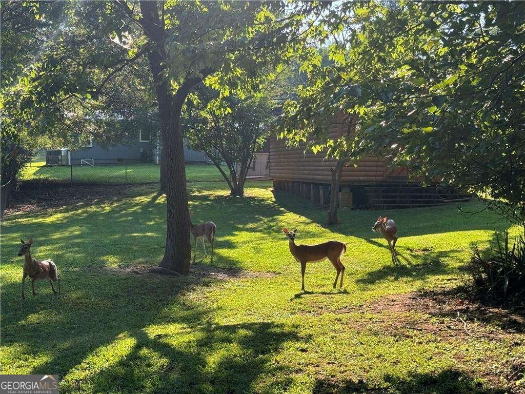 4269 Westside Drive Acworth - 33