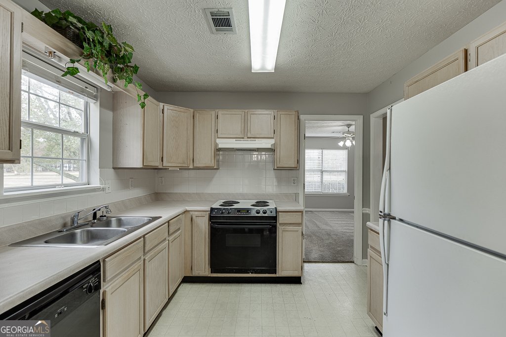 3519 Cook Road Loganville - 14