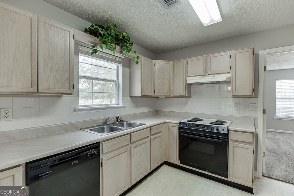 3519 Cook Road Loganville - 15