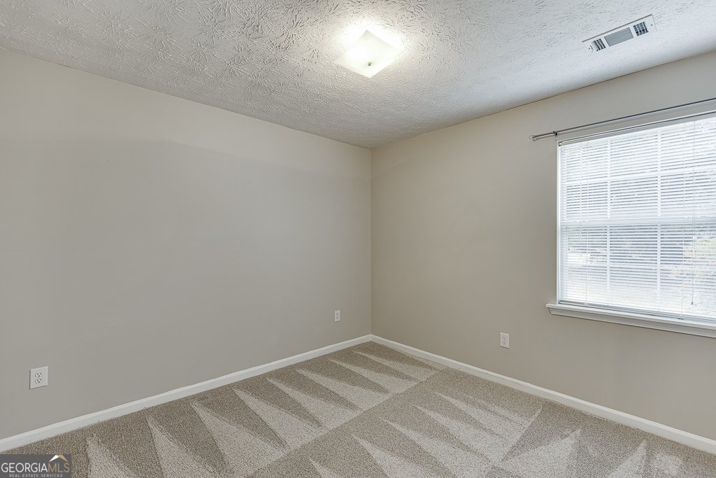 3519 Cook Road Loganville - 25