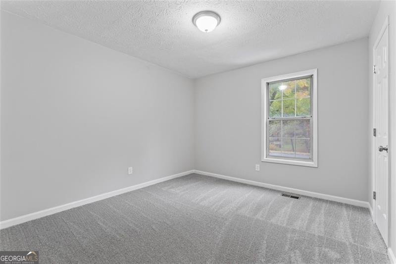 3881 BENTLEY Drive Douglasville - 19